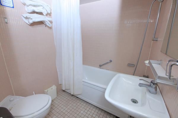 Attached toilet mini suite